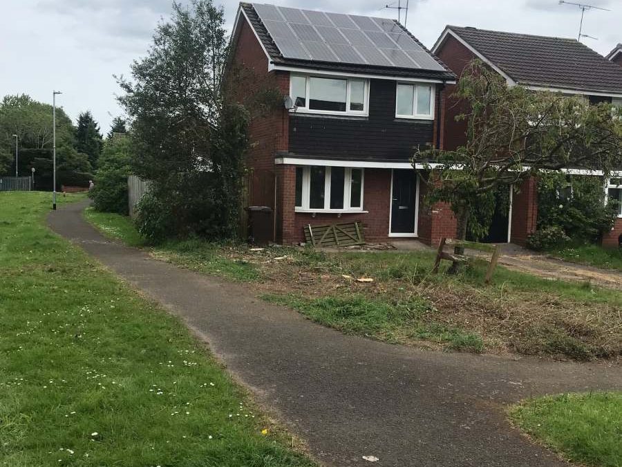 When Do You Need to Consider Tree Pollarding?