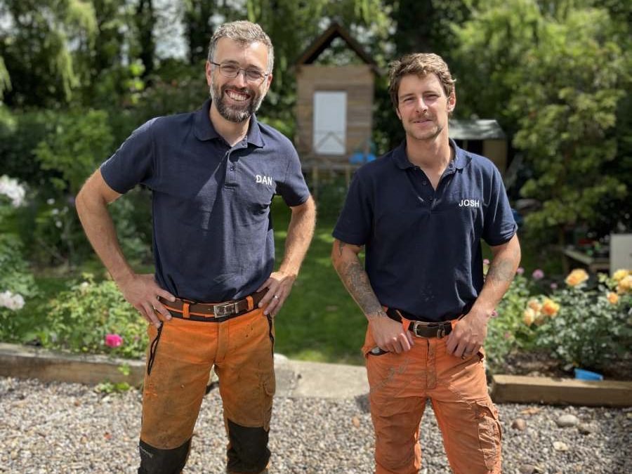 Which Tree Surgeon Services Should You Choose for Long-Term Tree Health?