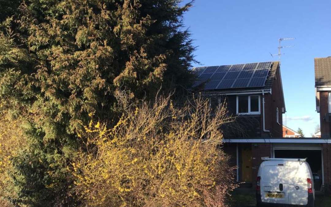 Four Early Signs of Unhealthy Trees You Need to Know About